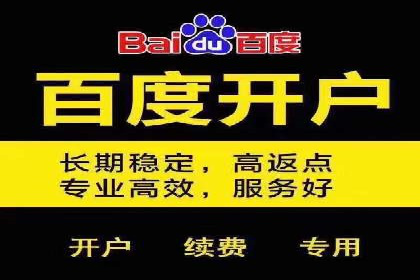 实战经验分享：SEO与SEM优化案例精选